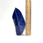 Lapis Lazuli Gemstone Freeform - RPS513