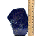 Lapis Lazuli Gemstone Freeform - RPS513
