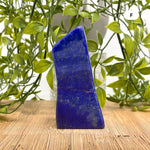 Lapis Lazuli Gemstone Freeform - RPS513