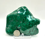 Natural Malachite Polished Freeform from Congo Green Gemstone for Healing, Display & Collection - RPS514