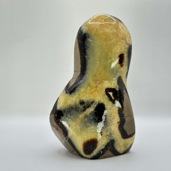 Natural Polished Septarian Crystal Freeform - Gem Avenue