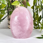 Rose Quartz Gemstone Freeform - RPS523