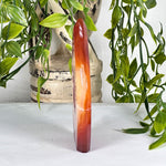 Carnelian Gemstone Freeform - RPS524