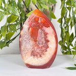 Carnelian Gemstone Freeform - RPS525