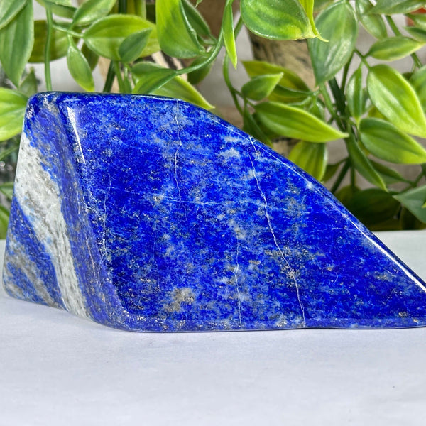 Lapis Lazuli Gemstone Freeform - RPS527