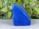 Lapis Lazuli Gemstone Freeform - RPS528