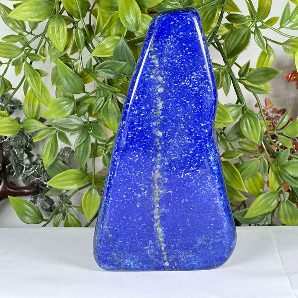 Natural Lapis Lazuli Freeform Polished Deep Blue Standing Crystal Stone - RPS535