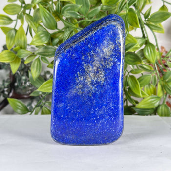 Natural Lapis Lazuli Polished Freeform Stone - RPS536