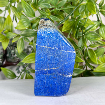 Natural Lapis Lazuli Polished Freeform Stone Deep Blue Crystal Decor - RPS537