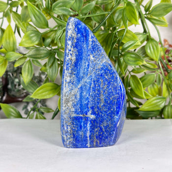 Natural Lapis Lazuli Polished Freeform Stone Deep Blue Crystal Display Piece - RPS538