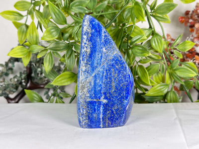 Natural Lapis Lazuli Polished Freeform Stone Deep Blue Crystal Display Piece - RPS538