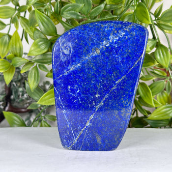 Natural Lapis Lazuli Polished Freeform Stone Premium Deep Blue Crystal Decor - RPS539