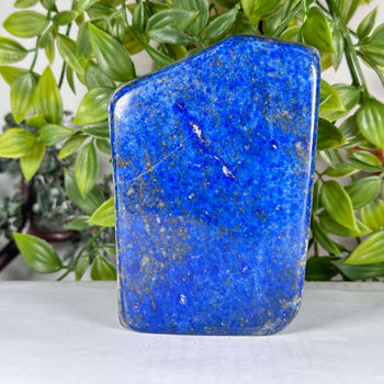 Natural Lapis Lazuli Polished Freeform Stone Premium Blue Crystal Display Decor - RPS540