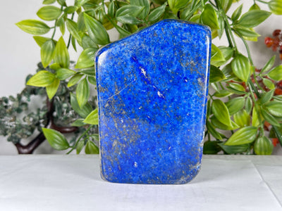 Natural Lapis Lazuli Polished Freeform Stone Premium Blue Crystal Display Decor - RPS540