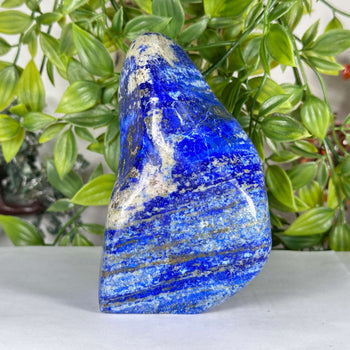 Natural Lapis Lazuli Polished Freeform Stone Premium Blue Crystal Display Piece - RPS542