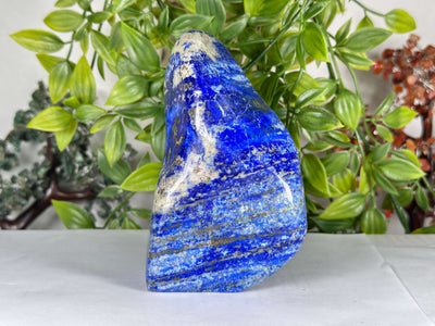 Natural Lapis Lazuli Polished Freeform Stone Premium Blue Crystal Display Piece - RPS542