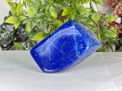 Natural Lapis Lazuli Polished Freeform Stone Deep Blue Gemstone Display Decor - RPS543
