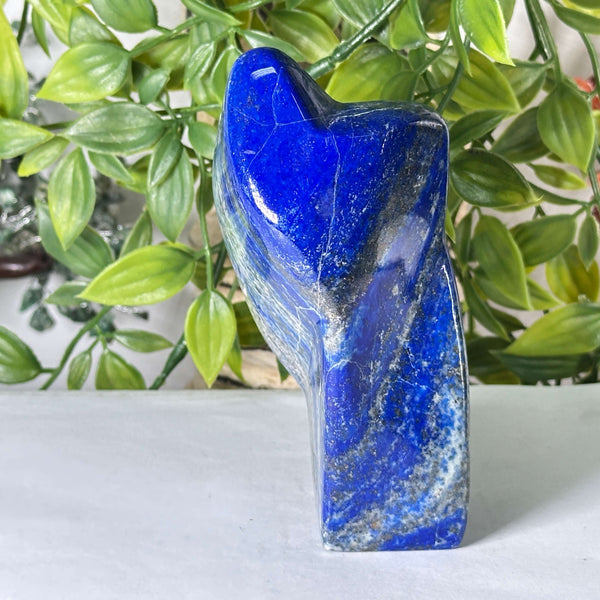 Natural Lapis Lazuli Polished Freeform Stone Premium Deep Blue Crystal Decor Accent - RPS544