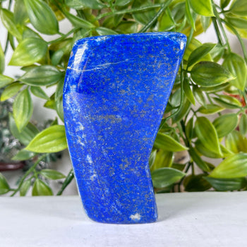 Natural Lapis Lazuli Polished Freeform Stone Deep Blue Crystal for Home Decor & Healing - RPS545