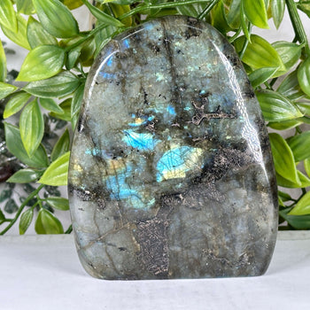 Natural Labradorite Polished Freeform Madagascar Flash Crystal for Healing & Home Decor - RPS546