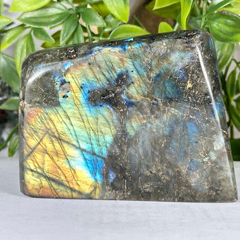 Natural Labradorite Polished Freeform Madagascar Flash Crystal Display Stone for Healing & Home Decor - RPS547