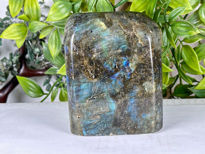 Natural Labradorite Polished Freeform Madagascar Blue Flash Crystal Display Stone for Healing & Home Decor - RPS548