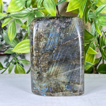 Natural Labradorite Crystal Freeform 3" Polished Display Stone Madagascar - RPS550