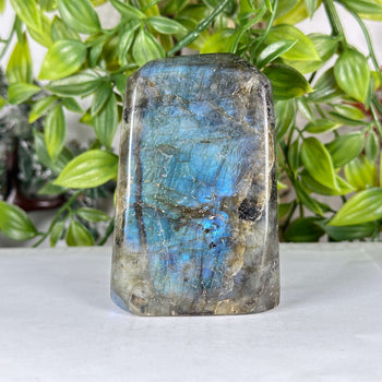Natural Blue Flash Labradorite Freeform Polished Madagascar Specimen - RPS551