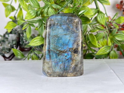 Natural Blue Flash Labradorite Freeform Polished Madagascar Specimen - RPS551