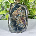 Labradorite Gemstone Freeform - RPS552