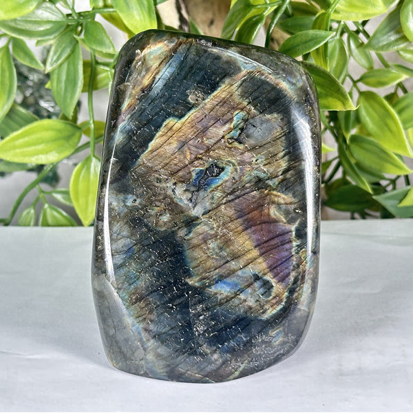 Labradorite Gemstone Freeform - RPS552