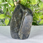 Labradorite Gemstone Freeform - RPS552