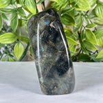 Labradorite Gemstone Freeform - RPS552