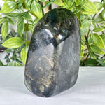 Labradorite Gemstone Freeform - RPS552