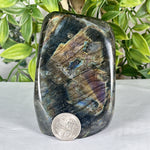 Labradorite Gemstone Freeform - RPS552