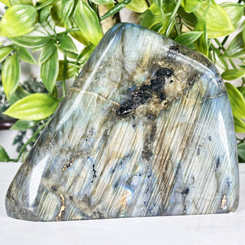 Labradorite Gemstone Freeform - RPS553