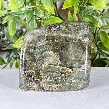 Natural Labradorite Polished Freeform Madagascar Flash Crystal Display Stone - RPS555