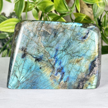Labradorite Gemstone Freeform - RPS556