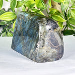 Labradorite Gemstone Freeform - RPS556