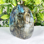 Labradorite Gemstone Freeform - RPS557