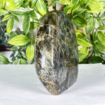 Labradorite Gemstone Freeform - RPS557