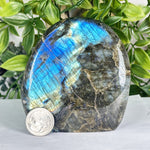 Labradorite Gemstone Freeform - RPS557