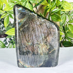 Labradorite Gemstone Freeform - RPS558