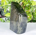 Labradorite Gemstone Freeform - RPS558