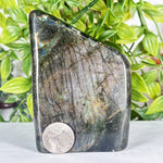 Labradorite Gemstone Freeform - RPS558