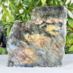 Labradorite Gemstone Freeform - RPS559