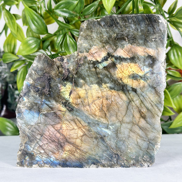 Labradorite Gemstone Freeform - RPS559