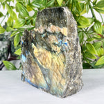 Labradorite Gemstone Freeform - RPS559