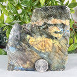 Labradorite Gemstone Freeform - RPS559