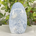 Celestite Gemstone Freeform - RPS573